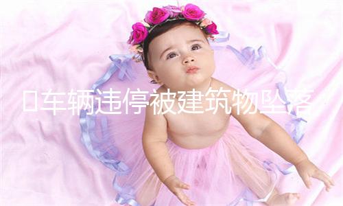 车辆违停被建筑物坠落玻璃砸中 修车11万多谁担责?法院判了